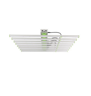 800W Led Ogrodnictwo Led Grow Light 8 Barów 380nm 760nm IP65