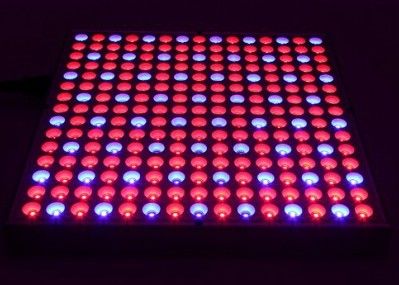 38W 0,5m2 / 0,3m Hydroponika Led Grow Lights 45W Płaskie rośliny doniczkowe
