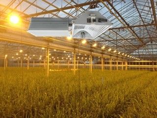 155lm / w 160000lm Indoor Grow Lights, 1000W HPS Grow Lights