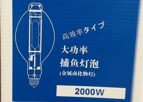 BT220 2000w MH Żarówka Lampa rybna HID Metalohalogenkowa lampa wędkarska kałamarnicy