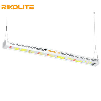 SMD3030 IP65 300w Full Spectrum Grow Lights, oprawa oświetleniowa LED 1450umol / s