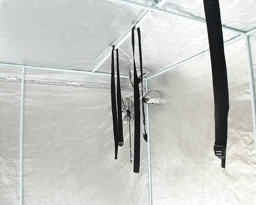 Światło żarowe Hydroponika Rosną namiot 6,5X6,5 "200cm Wysokość wzrostu roślin