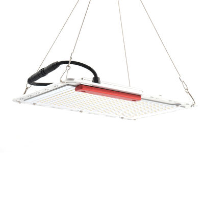 60Hz 100W Ledowe oświetlenie do uprawy warzyw, Quantum Board SMD5730 Indoor Grow Light