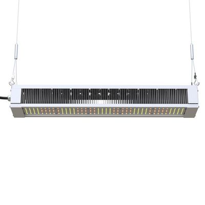 RikoLite 240W Full Spectrum LED Grow Light Slim Bar, AL1100 Horticulture LED Grow Lights