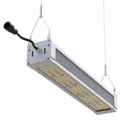 RikoLite 240W Full Spectrum LED Grow Light Slim Bar, AL1100 Horticulture LED Grow Lights