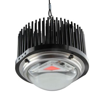 50W DOB Homemade Led Grow Lights, zestawy Cob 1M2 Full Spectrum Grow Light