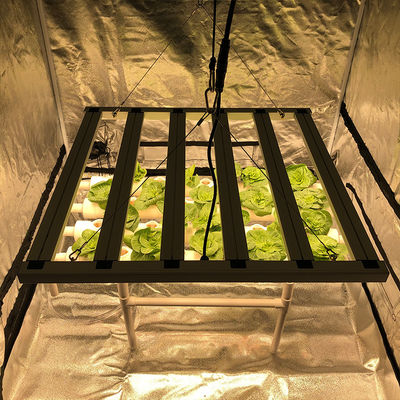 35 stopni celsjusza ogrodnictwo Led Grow Lights 480W 6 filarów 2,6μMol / J Lights Bar