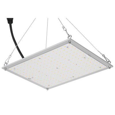 RikoLite 100W 277vac Hydroponika Led Grow Lights Tablica kwantowa 167,3umol / S