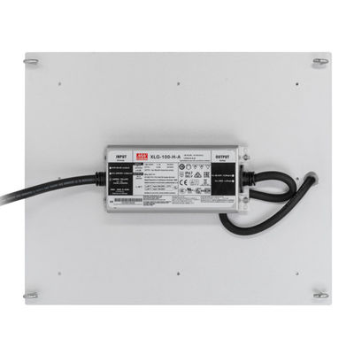 RikoLite 100W 277vac Hydroponika Led Grow Lights Tablica kwantowa 167,3umol / S