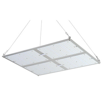 Rikolite 400w High Power Led Grow Lights, 149,6 m / W Hydroponic Plant Grow Light