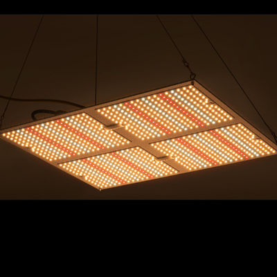Rikolite 400w High Power Led Grow Lights, 149,6 m / W Hydroponic Plant Grow Light