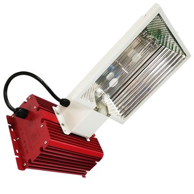 73148lm 630W Full Spectrum Grow Lights CMH 50Hz Wzrost roślin