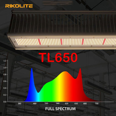 TL650 PAR 1755umol / S Greenhouse Led Grow Lights 630W do warzyw / kwiatów