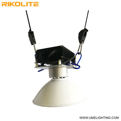 G12 Cmh 150w Led do uprawy roślin Oświetlenie sadzonek Vegging o wysokiej wydajności
