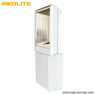 500W 900umol/s 265VAC CMH Grow Light 208-277V z żarówką 3000K