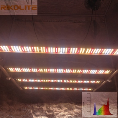 Galaxy 2835SMD LED 240W 4 bary Składane oświetlenie do uprawy roślin 0 - 10V Możliwość przyciemniania