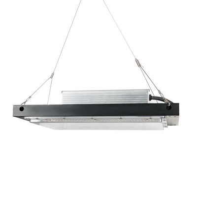 120W Hydroponika LED Grow Lights 3500k Możliwość przyciemniania IP65 Oceniona wodoodporność