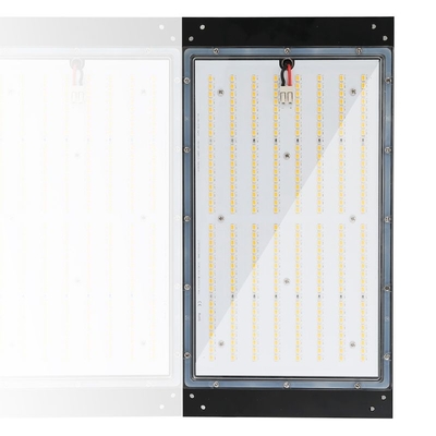 120W Hydroponika LED Grow Lights 3500k Możliwość przyciemniania IP65 Oceniona wodoodporność