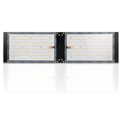 Wodoodporna IP65 LED Herb Grow Light 240W SAMSUNG Quantum Board dla rolnictwa