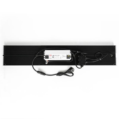 Hydroponics Quantum LED Grow Lights IP65 320w Pełne spektrum dla warzyw