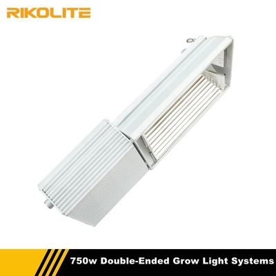Hid Light Bulbs 750W Double-Ended Grow Light Systems z żarówkami Hps
