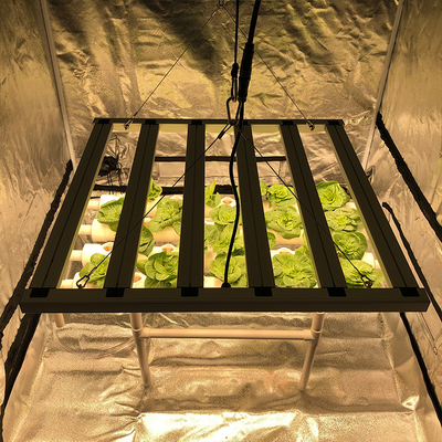 Driver Free Full Spectrum LED Grow Lights 600w Statecznik kompatybilny dla rolnictwa