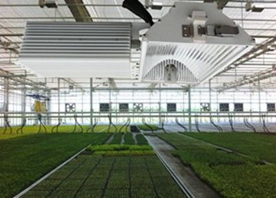 1050µMol / S HID LED Grow Lights, 630W Ceramiczne metalohalogenkowe oświetlenie do uprawy roślin