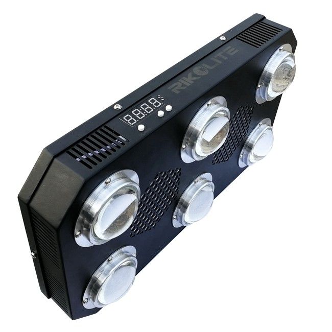 300W 4,2kgs LED COB Grow Light Kwitnący radiator z płytą wentylatora Przełącznik 24h Przełącznik 300w Led Grow Light