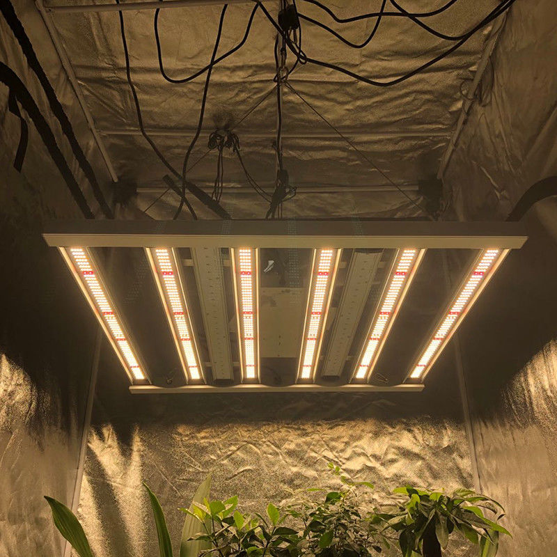 35 stopni celsjusza ogrodnictwo Led Grow Lights 480W 6 filarów 2,6μMol / J Lights Bar